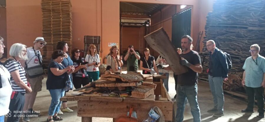 Cork Factory Tour - The Real Scoop from the Reviews