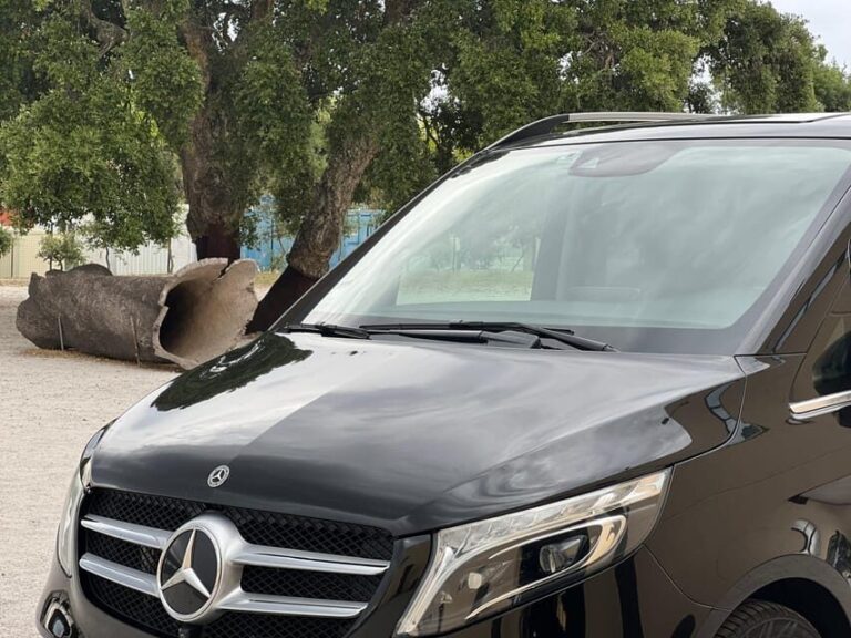 Cork Factory, Wine Tasting & Évora Visit - Who Is This Tour Best For?