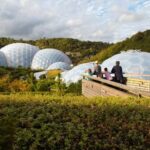 Cornwall: Eden Project Entry Ticket - A Closer Look at the Highlights