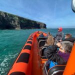 Cornwall: Guided Seal Safari by Boat - The Itinerary in Detail