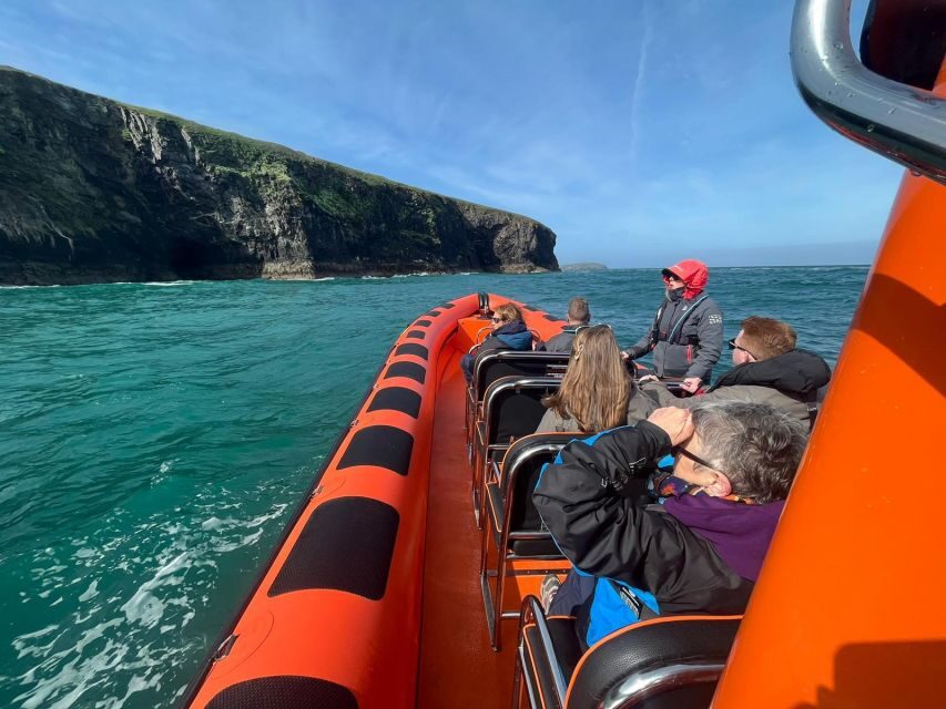 Cornwall: Guided Seal Safari by Boat - The Itinerary in Detail