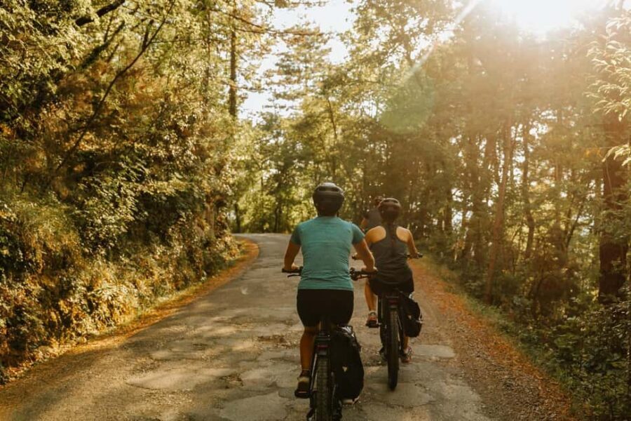 Cortona: Guided E-Bike Tour of Tuscany's Hidden Gem - Authentic Experiences and Guest Feedback