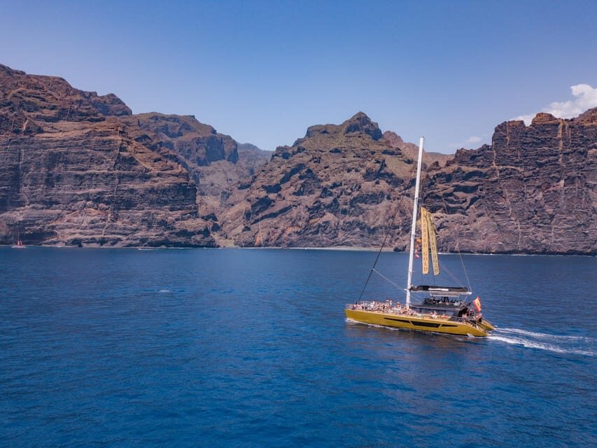Costa Adeje: Masca and Los Gigantes Whale Watching Cruise - Wildlife Watching: What You Might See