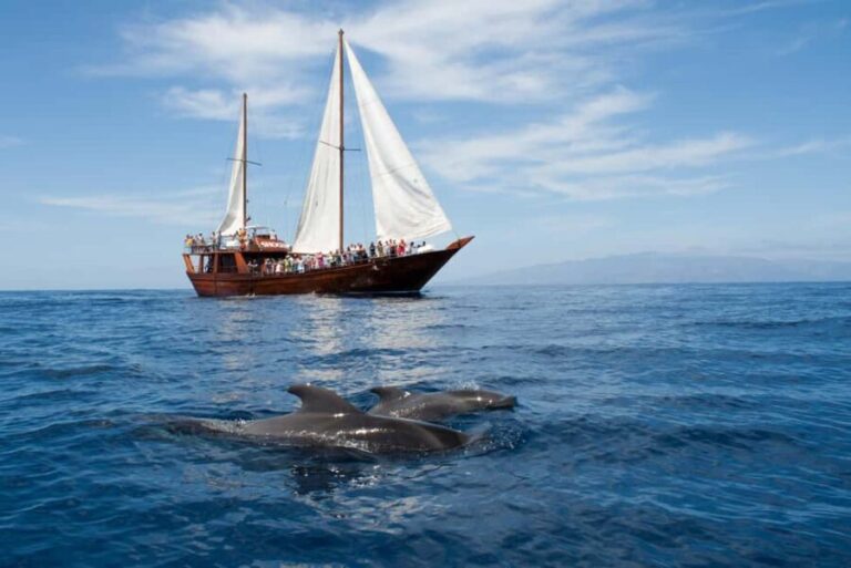 Costa Adeje: Respectful Whale Watching on Wooden Boat & Swim - The Value Proposition