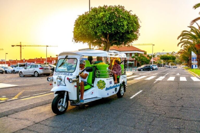 Costa Adeje: Tuk Tuk Tour - Who Is This Tour Best For?