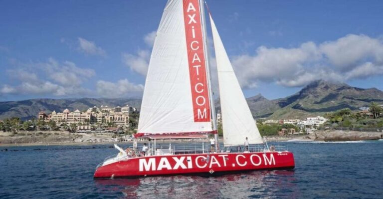 Costa Adeje: Whale and Dolphin Cruise with Food and Pickup - The Stop for Swimming & Snorkeling