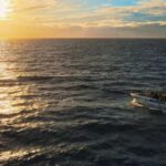 Costa Adeje: Whale and Dolphin-Watching Boat Excursion - Who Is This Tour Best For?