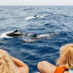 Costa Adeje: Whale Watching Catamaran Tour with Drinks - Setting Sail from Puerto Colon