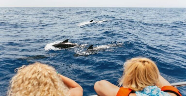 Costa Adeje: Whale Watching Catamaran Tour with Drinks - Setting Sail from Puerto Colon