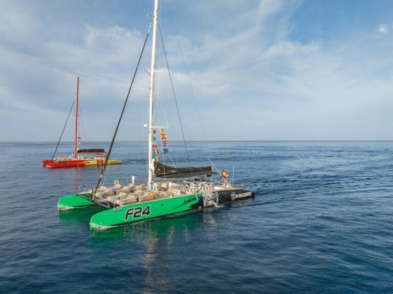 Costa Adeje: Whale Watching Cruise with Snack and Drinks - What to Expect on the Water