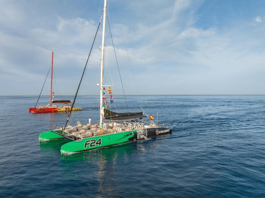 Costa Adeje: Whale Watching Cruise with Snack and Drinks - What to Expect on the Water