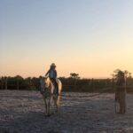 Costa Alentejana: Horse tour in Serra de Grândola - The Itinerary: What You Can Expect