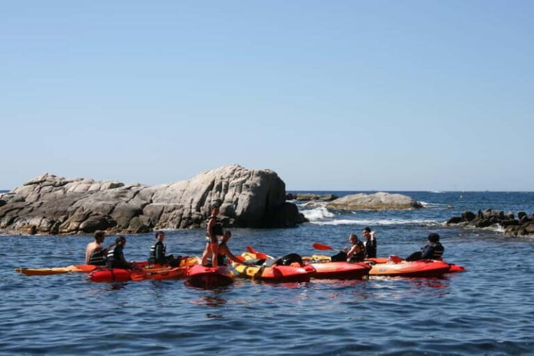 Costa Brava: Sant Feliu de Guíxols Kayak & Snorkel Tour - The Practical Side: Details That Matter
