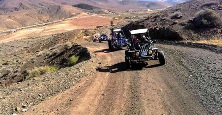 Costa Calma: Buggy Safari - FAQs