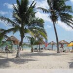 Costa Maya Port All-Inclusive Beach Escape - Who Is This Tour Best For?
