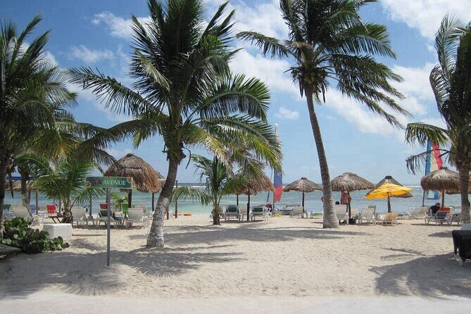 Costa Maya Port All-Inclusive Beach Escape - Who Is This Tour Best For?