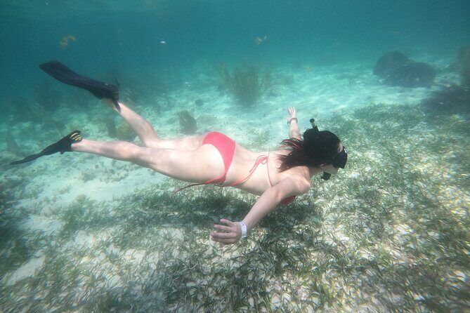 Costa Maya, snorkeling on the reef with fish, looking for turtles - What the Tour Includes and What It Means for You