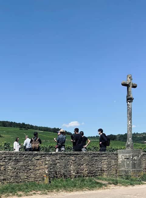 Côte de Nuits: Excursion in the heart of the vineyards - What the Reviews Say