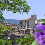 Countryside Half Day Private Tour - How Does Price Reflect Value?