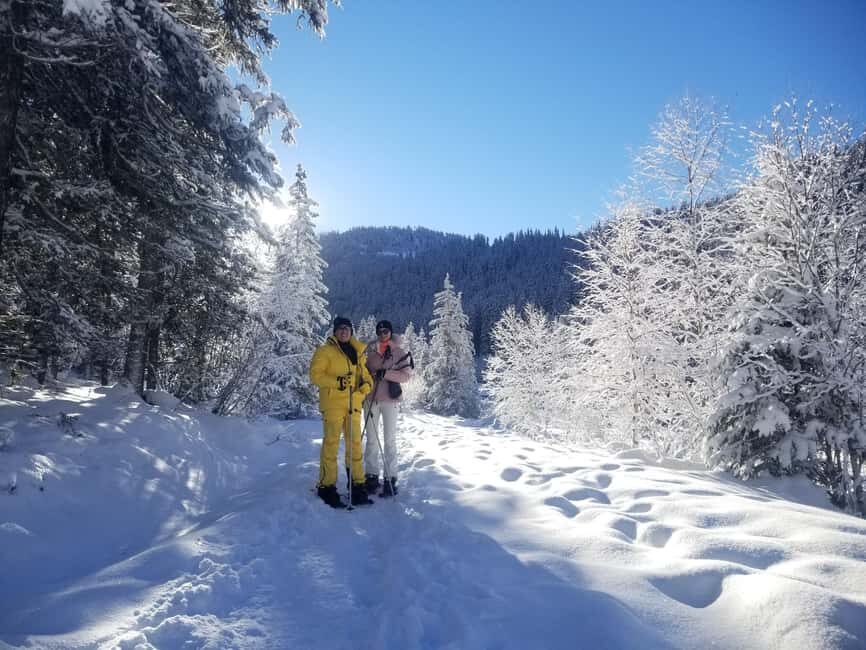 Courchevel: Snowshoeing or Nordic Walking - Who Is This Tour Best For?