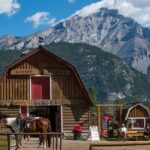 Covered Wagon Ride in Banff with Western Cookout - What to Expect From the Ride
