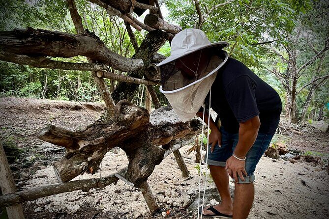 Cozumel: Bee Farm + Honey & Chocolate Tasting + Sightseeing - Who Is This Tour Best For?