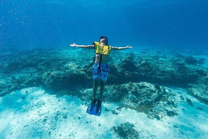 Cozumel Catamaran Snorkeling Tour & Lunch (Hotel Pick Up) - What to Expect from This Tour