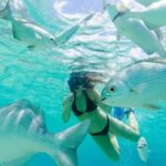 Cozumel: Day in Punta Sur Eco Park and Del Cielo Beach with Snorkeling - Real Traveler Insights