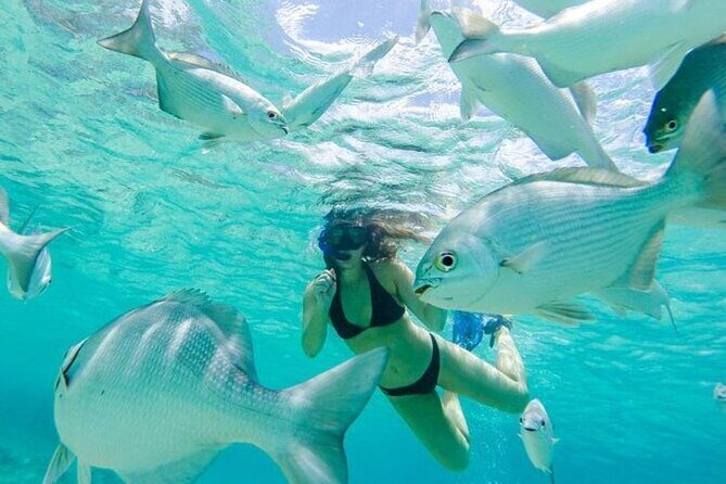 Cozumel: Day in Punta Sur Eco Park and Del Cielo Beach with Snorkeling - Real Traveler Insights