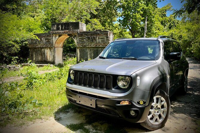 Cozumel: Discover Hidden Gems w/ Private guide - The Experience in Practice: What to Expect