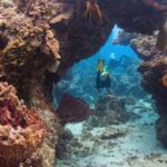 Cozumel: Discover Scuba Diving - FAQs