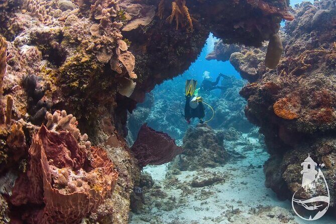 Cozumel: Discover Scuba Diving - FAQs