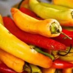 Cozumel Food Tour - What to Expect from the Cozumel Food Tour