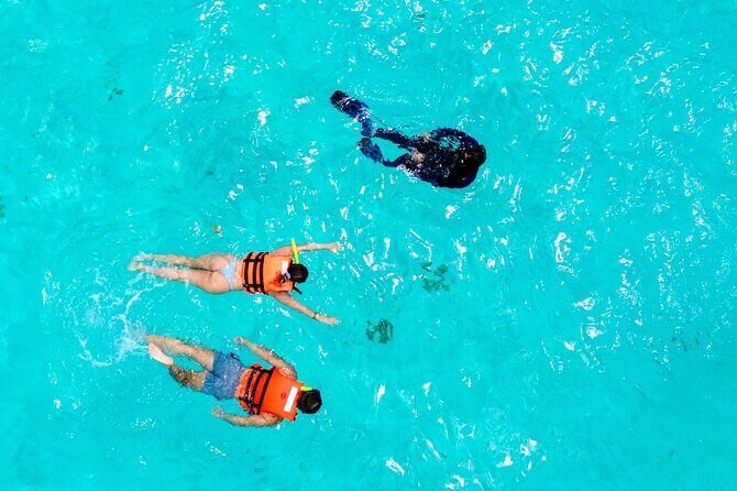 Cozumel, Kuzá Beach & Adventure Park VIP Pass - The Itinerary – What to Expect