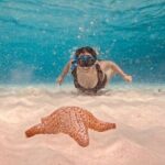 Cozumel Snorkeling to Palancar & El Cielo with drinks & Snack - What’s Included and What’s Not