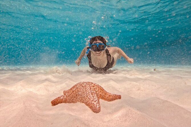 Cozumel Snorkeling to Palancar & El Cielo with drinks & Snack - What’s Included and What’s Not