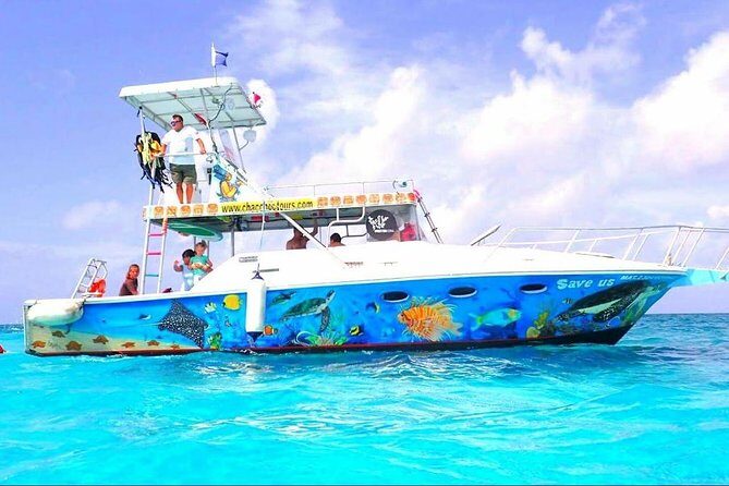Cozumel Snorkeling Tour at Palancar & Colombia Reefs and El Cielo - The Practicalities: What You Need to Know