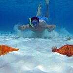 Cozumel Snorkeling Tour to Palancar Reef and El Cielo - Final Thoughts