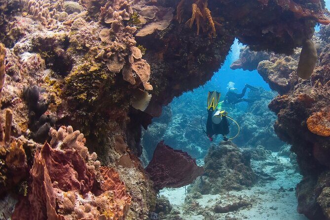 Cozumel underwater 2 Tank Dive by boat - Why Price Reflects Good Value