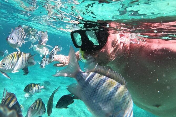 Cozumel's Reefs in El Cielo, Palancar and Columbia Guided Tour - Who is This Tour Best For?