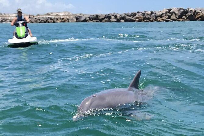 Crab Island Dolphin Jet Ski Adventure - Authentic Reviews and What They Reveal