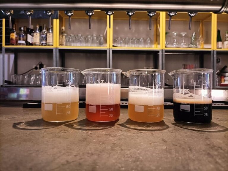 Craft Beer Tasting and tapas in Valencia - The Value of the Experience