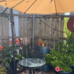 Craft Cider & Mead Tasting in New Orleans (45 Minutes) - Frequently Asked Questions