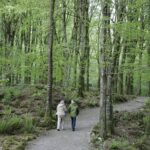 Craggaunowen Admission Ticket - Who Will Love This Experience?