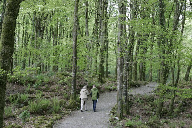 Craggaunowen Admission Ticket - Who Will Love This Experience?