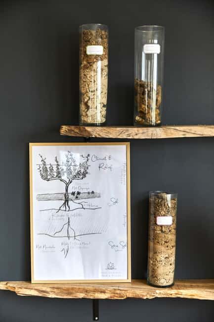 Cramant: OP2 Masterclass with 5 Champagnes - The Itinerary Breakdown