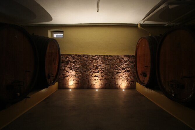 Crazy senses! - The Value of This Experience