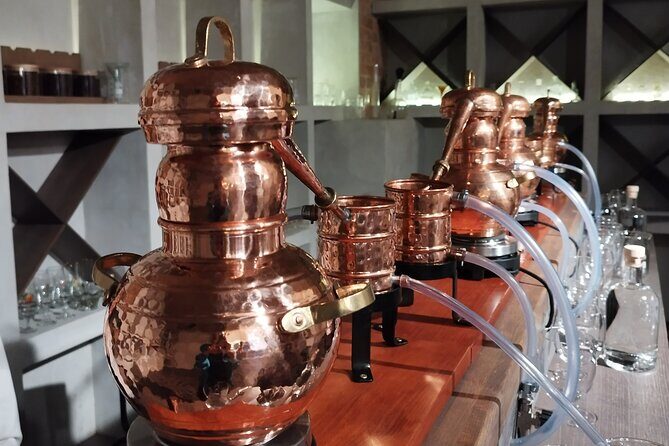 Create your own Gin at Riga Gin Laboratory - Why This Experience Works