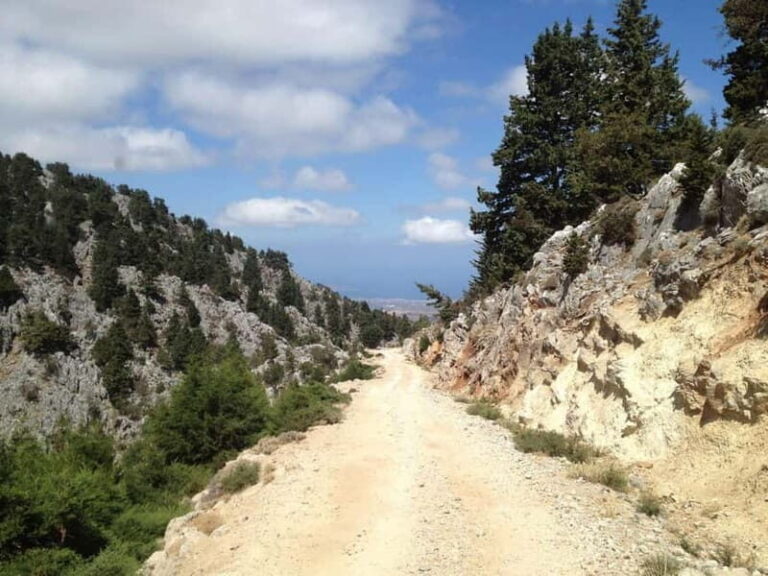 Crete Above the Clouds: Private 4x4 White Mountains Safari - What to Expect: A Detailed Breakdown