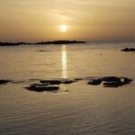 Crete: Elafonisi Pink Beach Excursion - Is It Good Value?